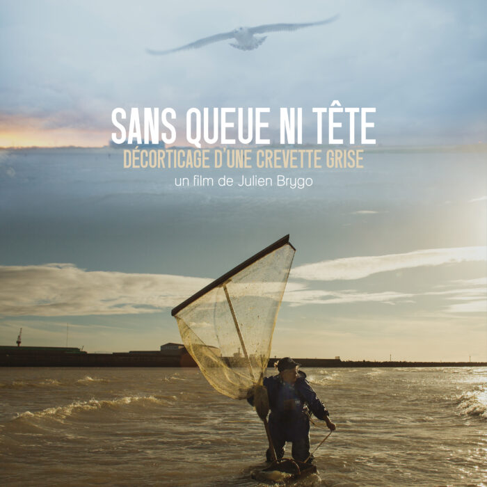 Sans queue ni tête, décorticage d’une crevette grise – Projection documentaire